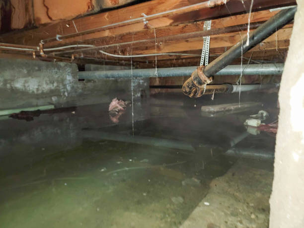 Best Commercial water damage restoration  in North Middletown, NJ