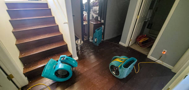 Best Water damage restoration near me  in North Middletown, NJ