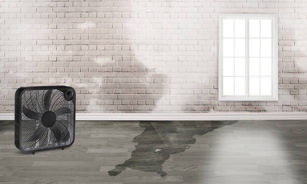 Best 24-hour water damage restoration  in North Middletown, NJ