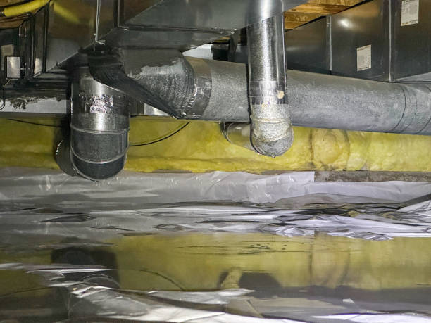 Best Water damage restoration near me  in North Middletown, NJ